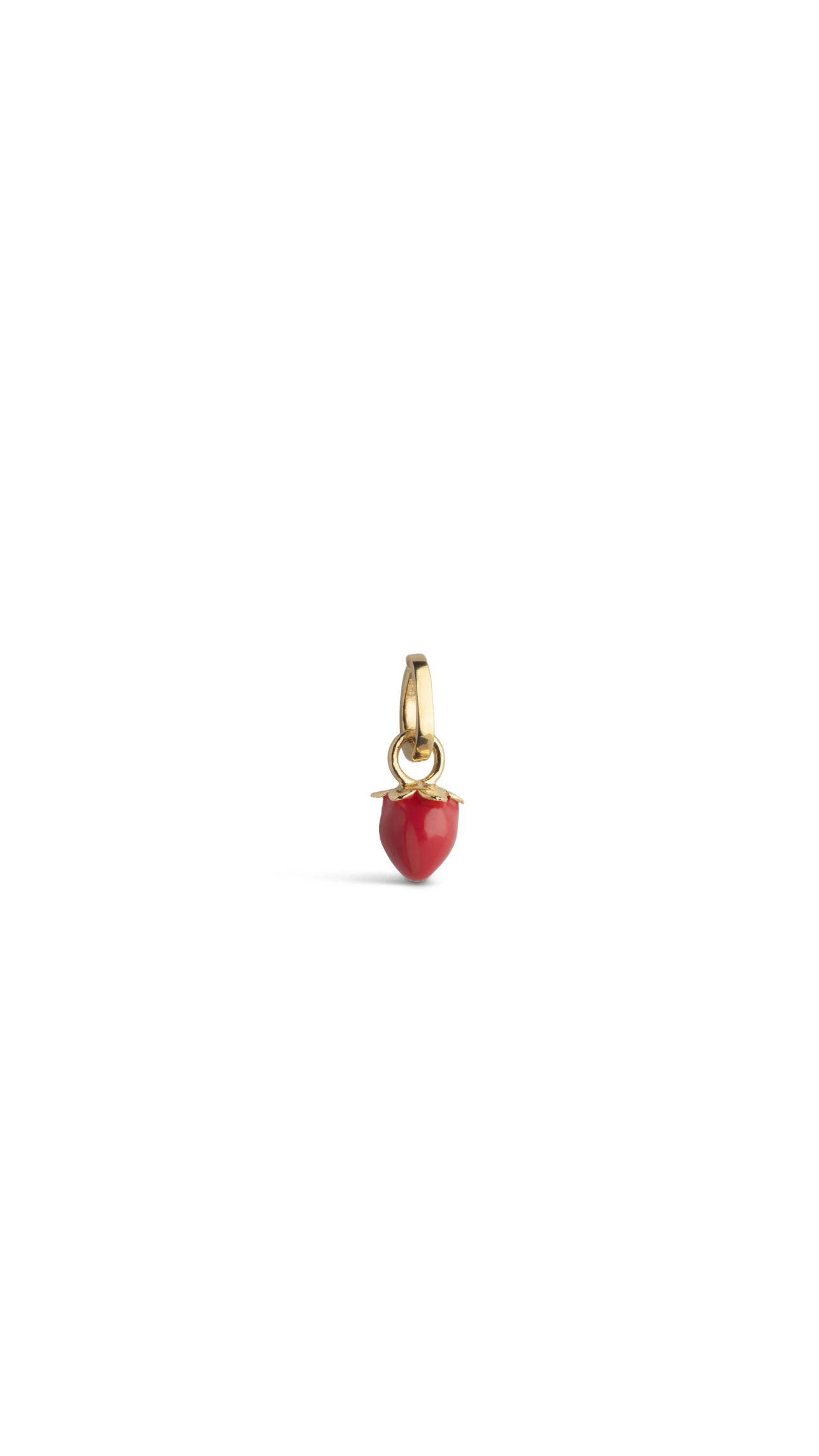 Sunny Red Strawberry Charm