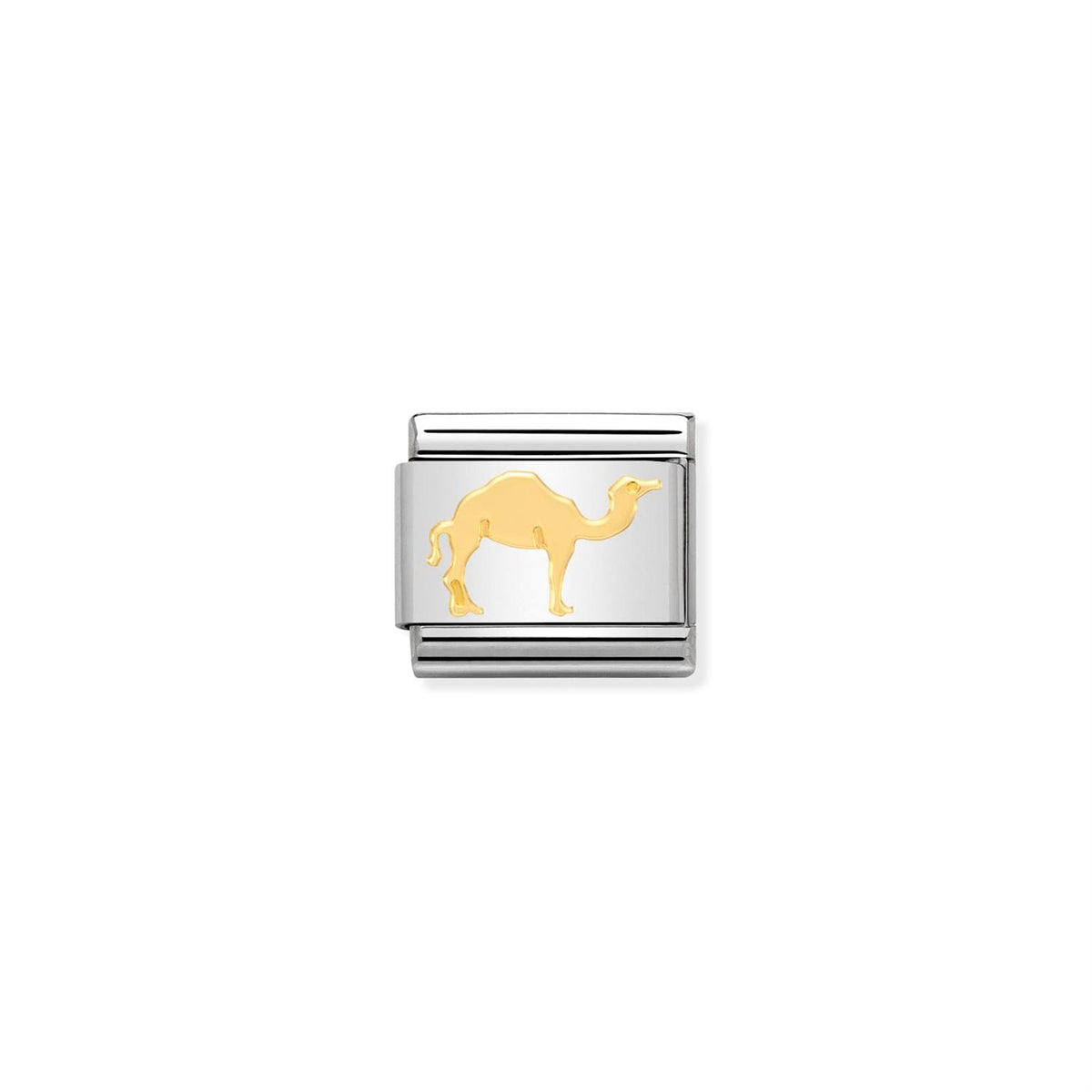LINK, DROMEDARY GOLD