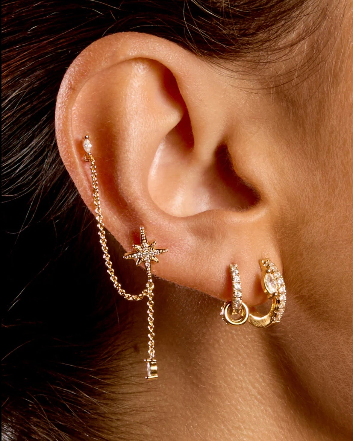 Precious Delhi Earrings