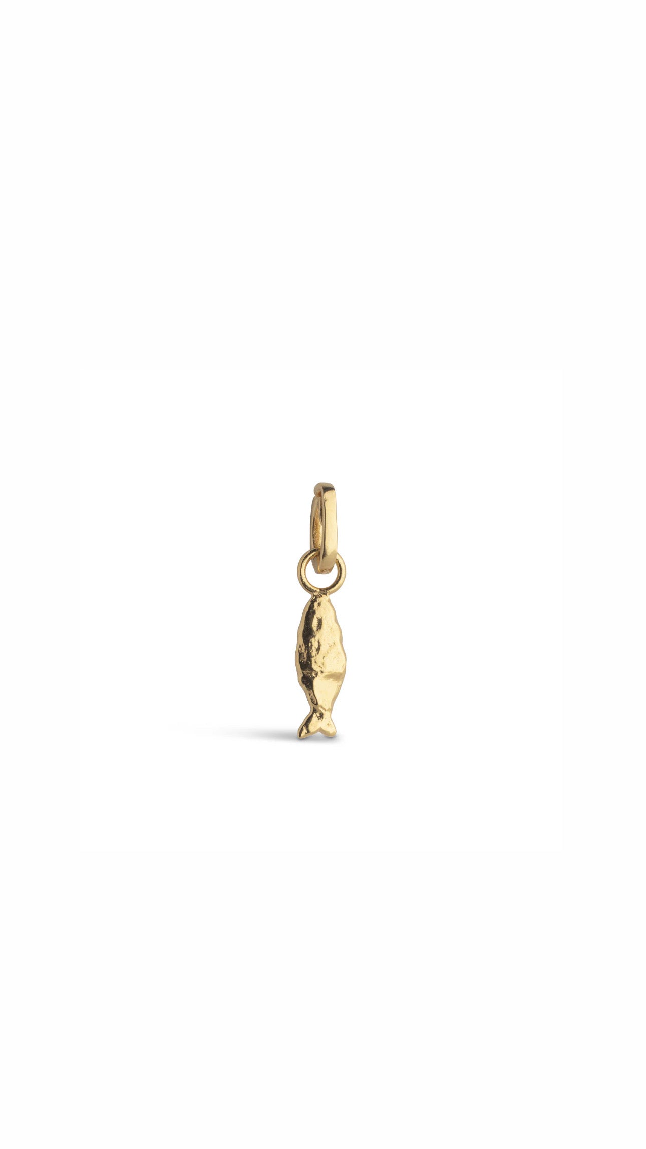 Flowing Fish Charm