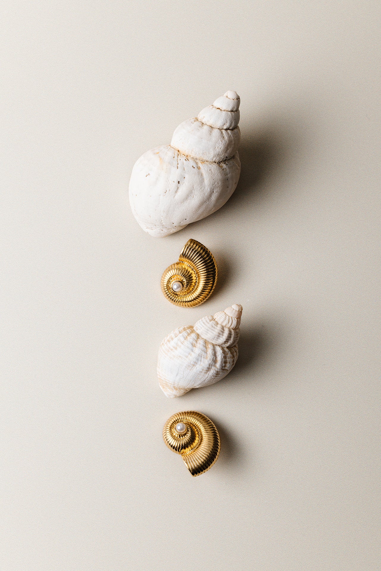 Textured Ammonite Statement Studs
