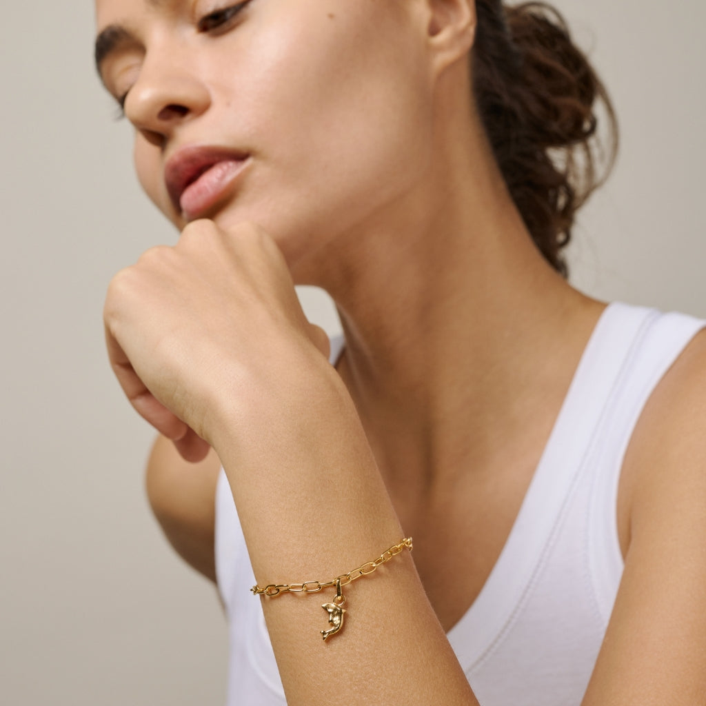 Joyful Dolphin Charm