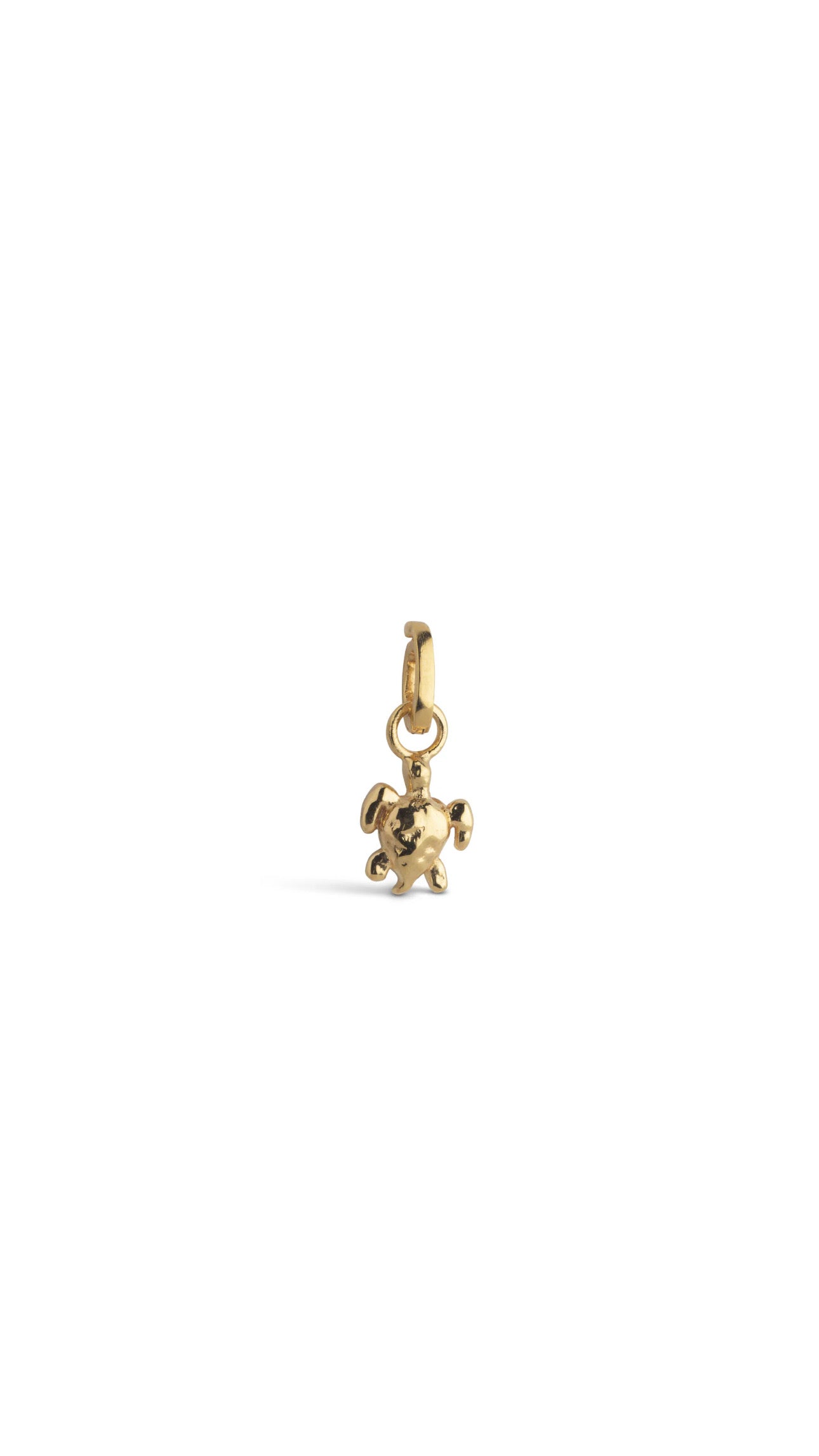 Calm Turtle Charm