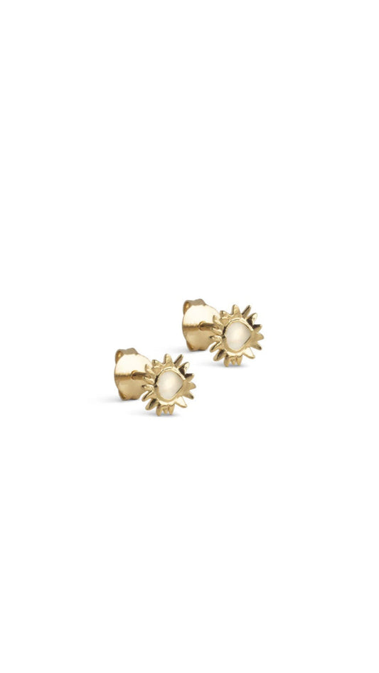 Small Sunshine Daisy Studs