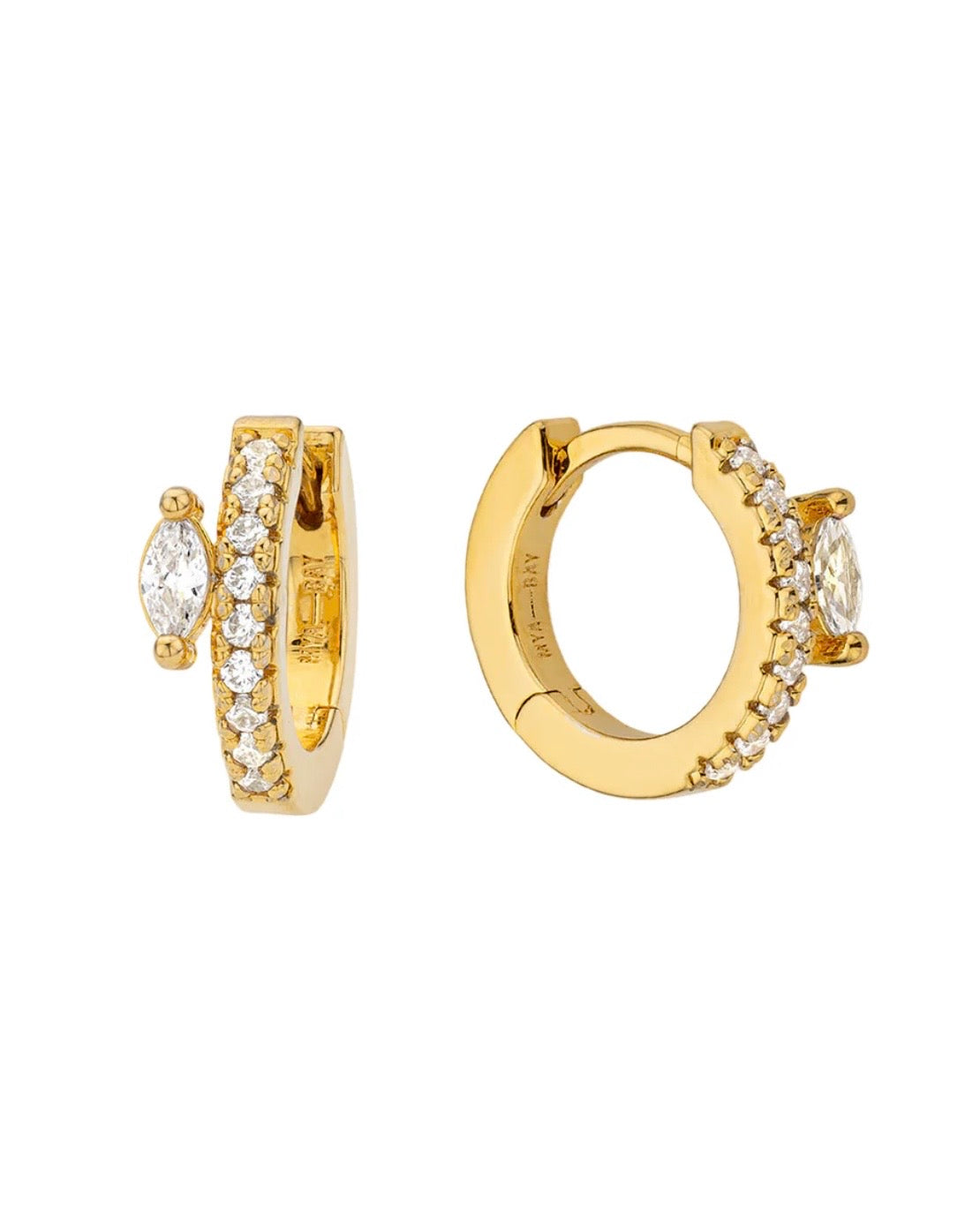 Precious Delhi Earrings