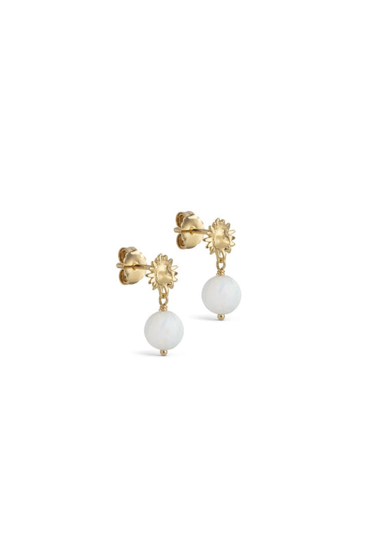 Daystar Globe Studs