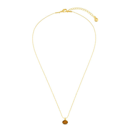 Sp tigers eye charm necklace