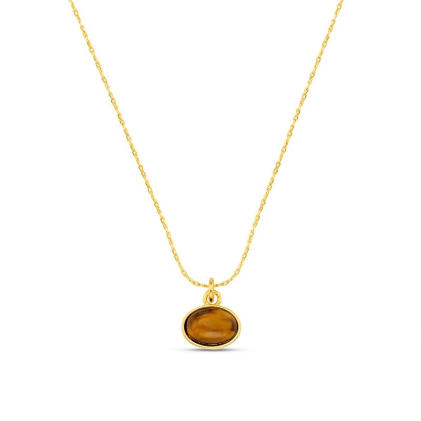Sp tigers eye charm necklace