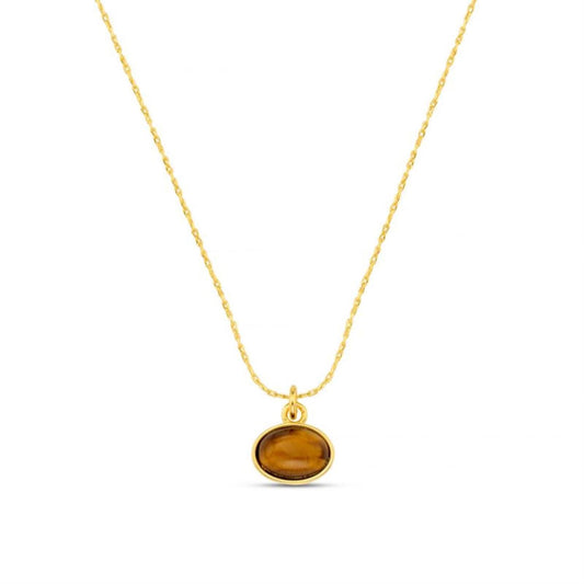 Sp tigers eye charm necklace