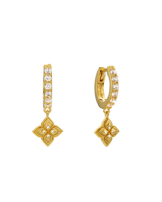 Lotus Delhi Hoops