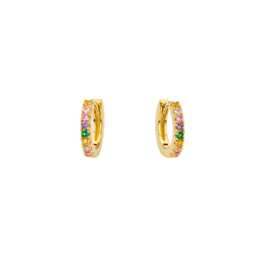 Rainbow Delhi Small Hoops