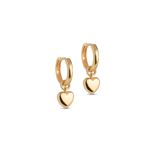 Amore Gold Hoops