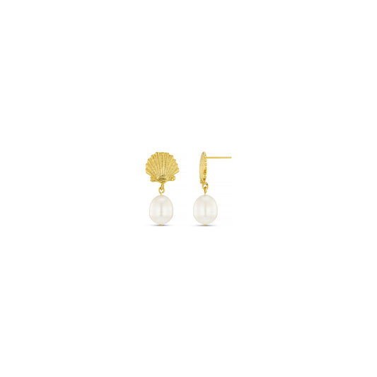Shell & Pearl Drop Studs