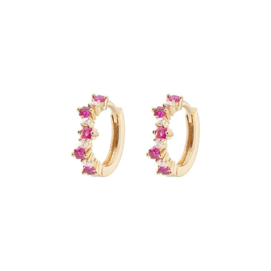 Mixed Small Hoops Cerise